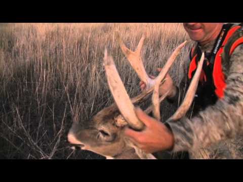 North American Hunter - Kansas Whitetails