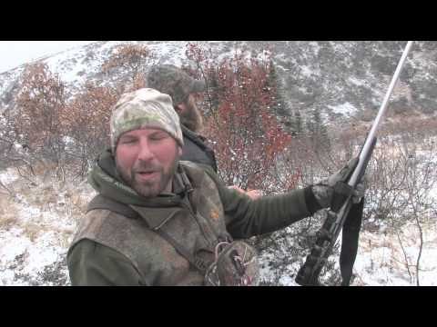 The Hunting Chronicles - The Hunting Chronicles