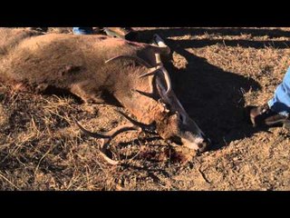 Gun It with Benny Spies - The Goat Episode