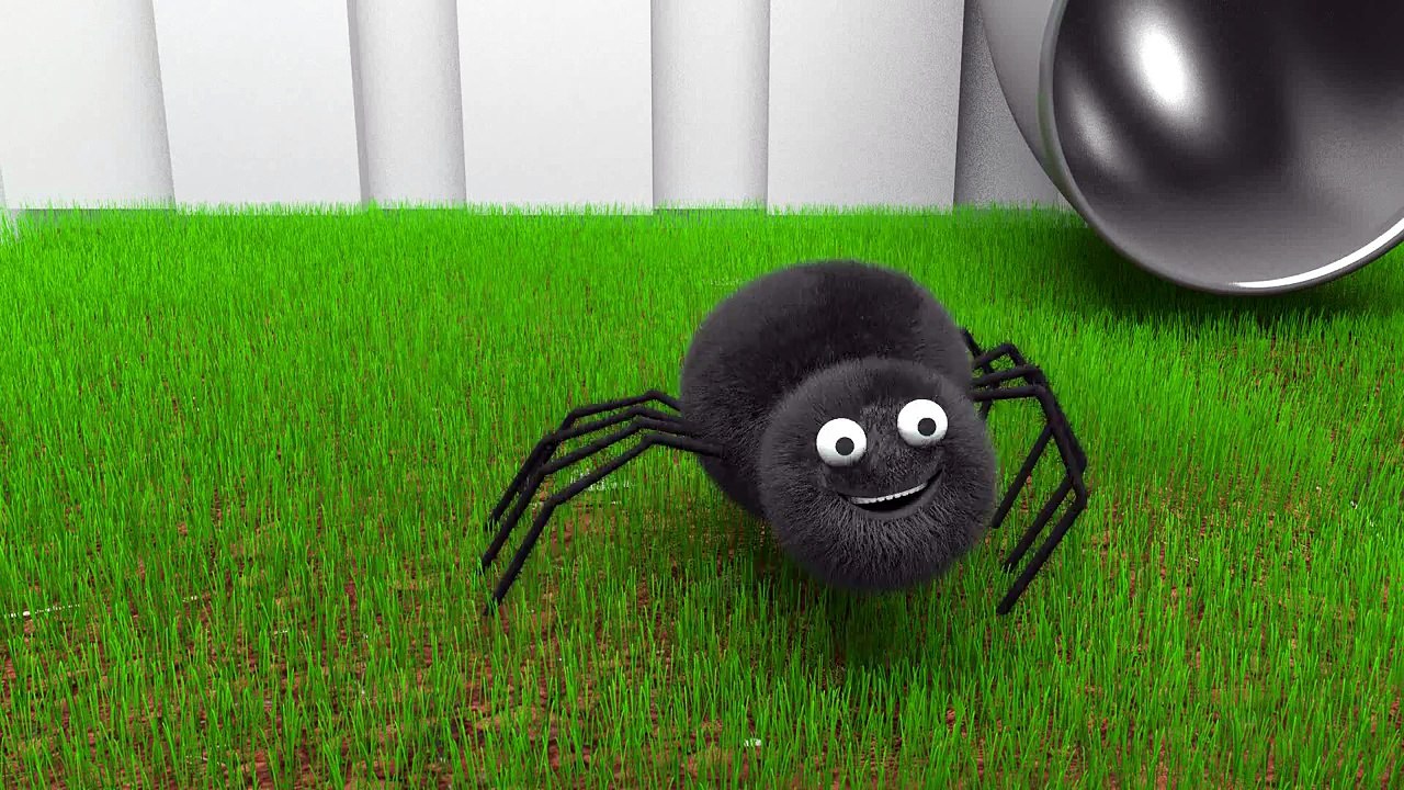 A Donha Aranha