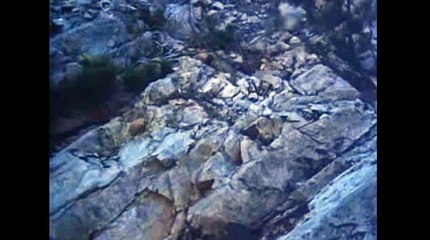 해외배팅【 TNT900。COM 】바카라양방프로그램 알라딘게임