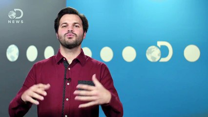 What The Heck Are These Cats Doing In Zero-G?!