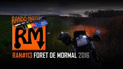 RAN#113 FORET DE MORMAL