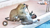 Leopard mauls six people at Indian school