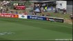 Amazing Fielding by Shane Watson vs New Zealand HD