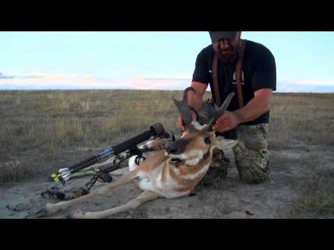 Dead Down Winds Live the Wild Life - Dreams Can Come True