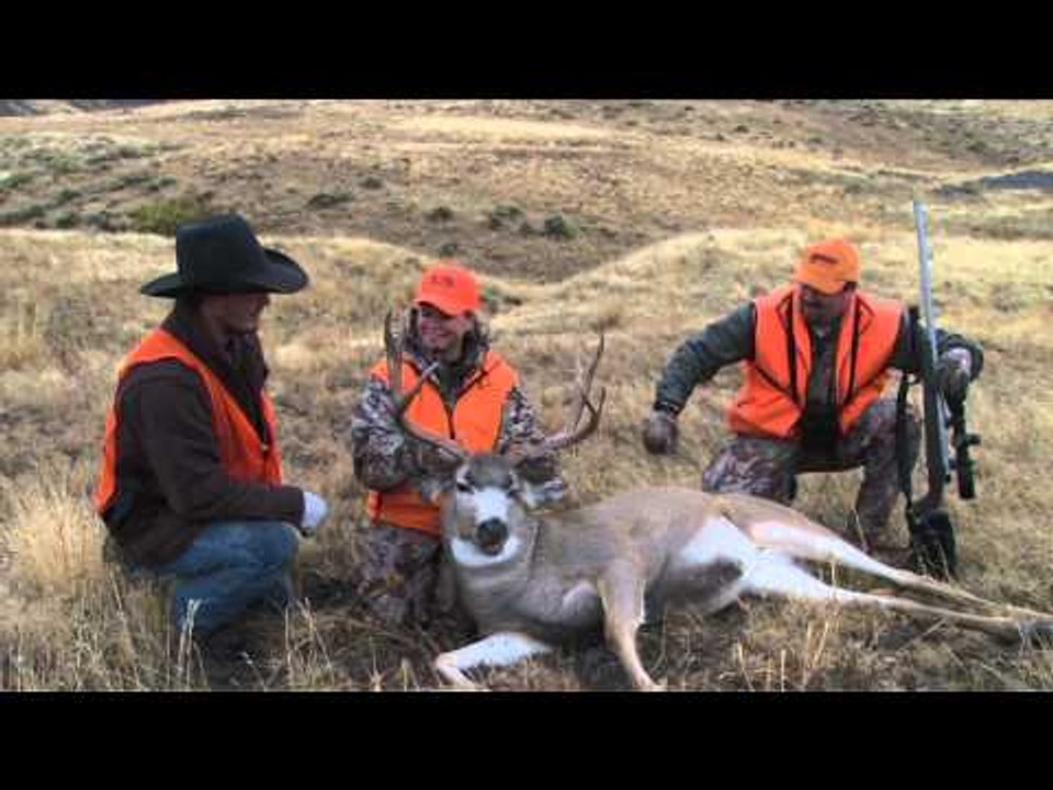 Extreme Outer Limits TV - Extreme Outer Limits TV