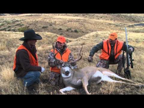 Extreme Outer Limits TV - Extreme Outer Limits TV