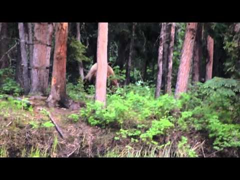 Where in the World is Colorado Buck - Colorado HUnts Alaskan Grizzly