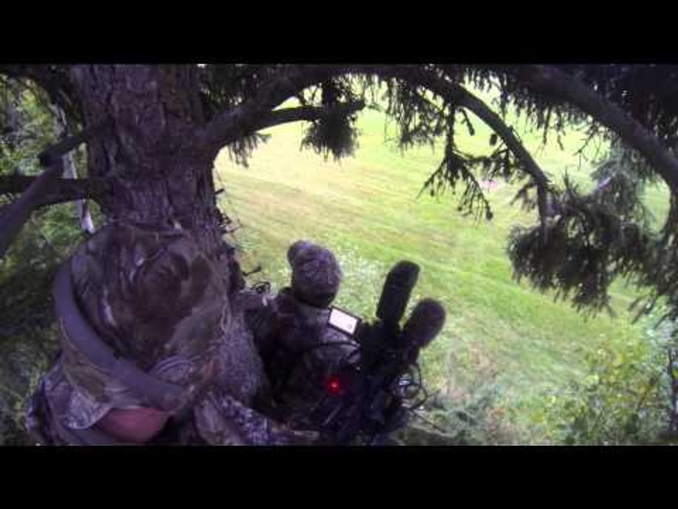 Major League Bowhunter - Major League Bowhunter