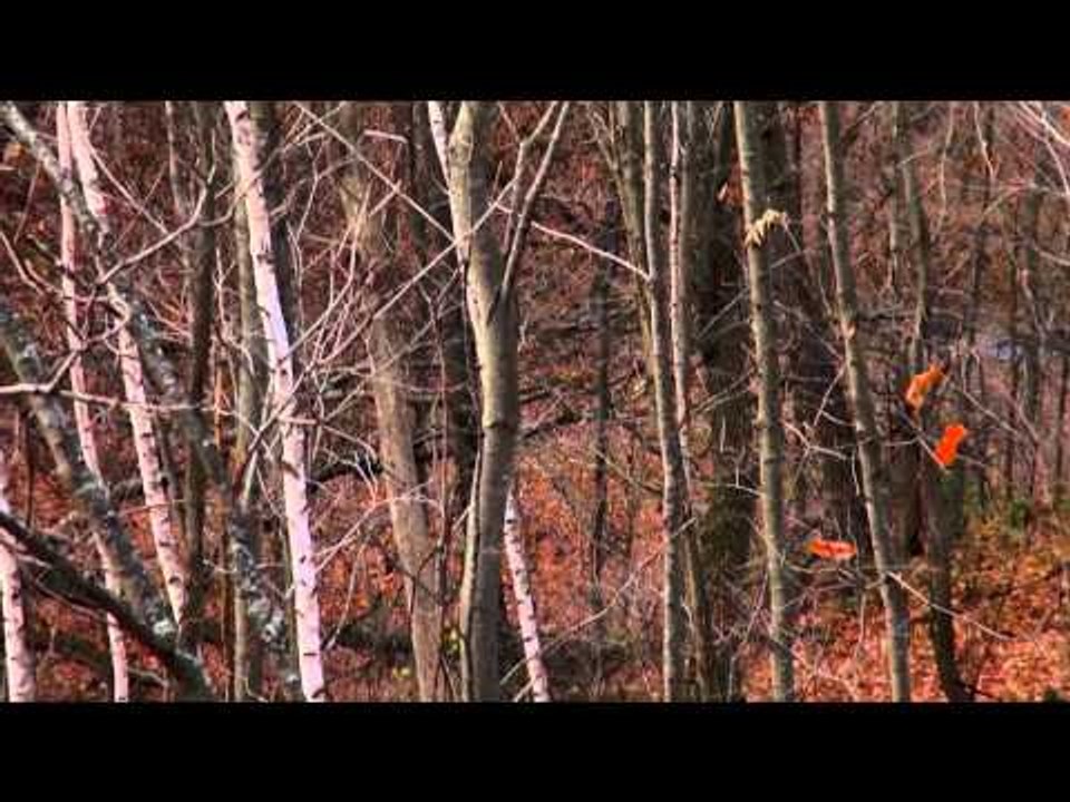 The Breaking Point - Smalls