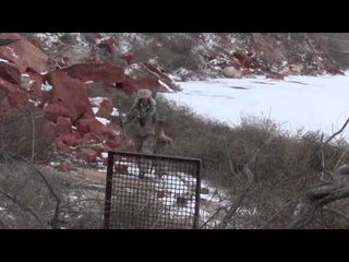 Predator Quest  - Predator Quest