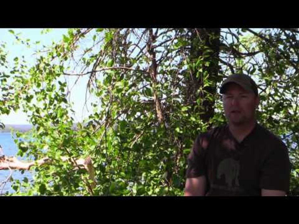 Jason Petersons Into the Wild - Jason Petersons Into the Wild