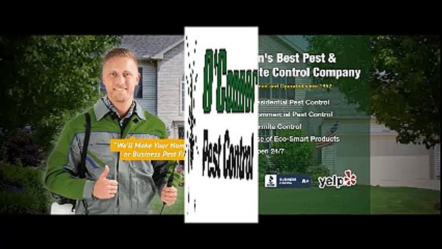 O'Connor Pest Control In Dublin