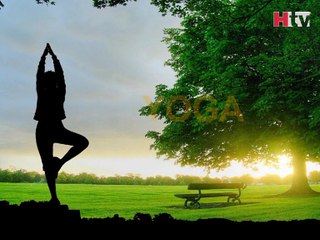 Plank Pose Exercise - HTV Fitness