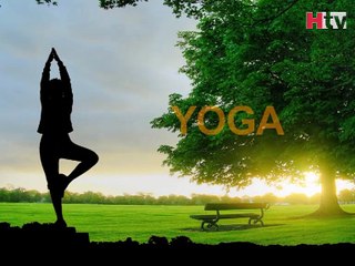 Pose Dedicated To The Sage Marichi I Exercise - HTV Fitness