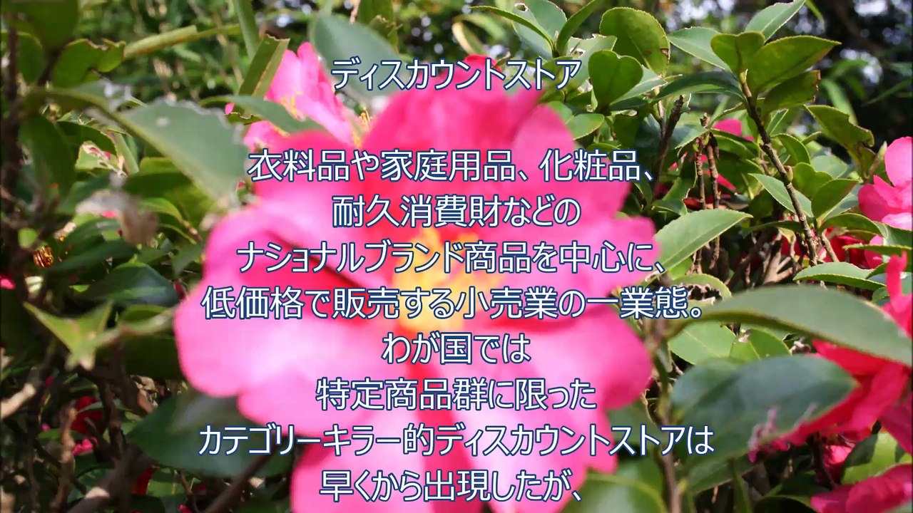 ディスカウントストア～JDPアセットマネジメント資産管理用語集