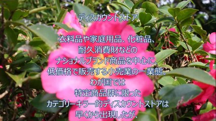 ディスカウントストア～JDPアセットマネジメント資産管理用語集