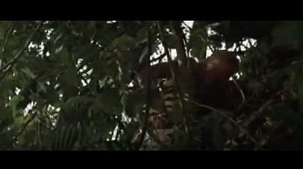 바카라배우기【 KOP77。COM 】카지노사이트주소