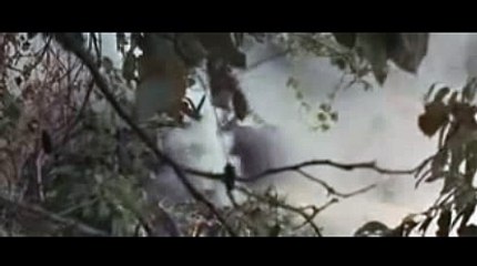 피나클에이전시【 KOP77。COM 】7m라이브스코어