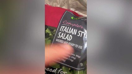 Miam : elle découvre une énorme araignée dans sa salade composée