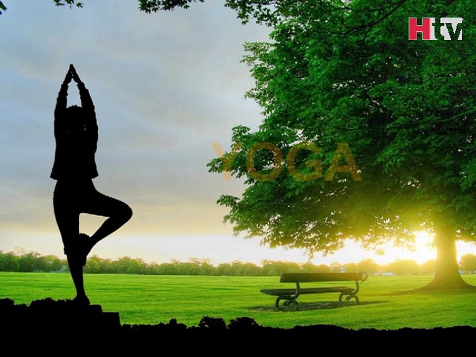 Seated Forward Bend Exercise - HTV Fitness