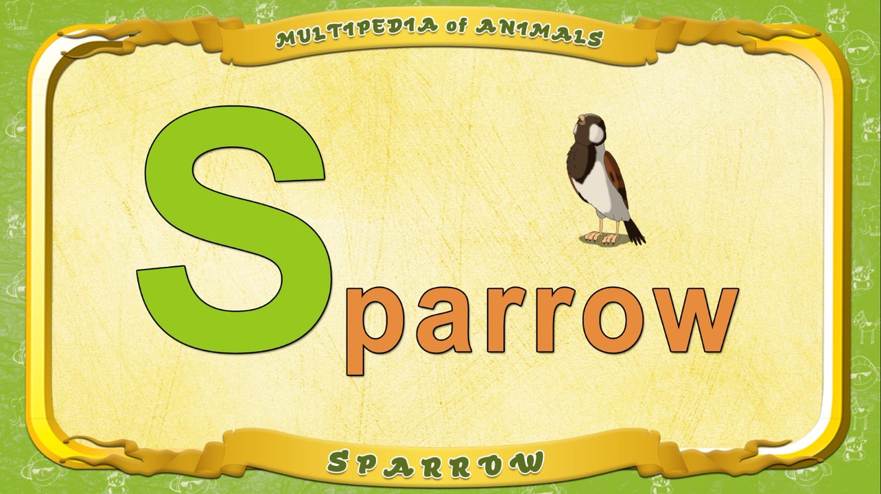 Multipedia of Animals. Letter S - Sparrow