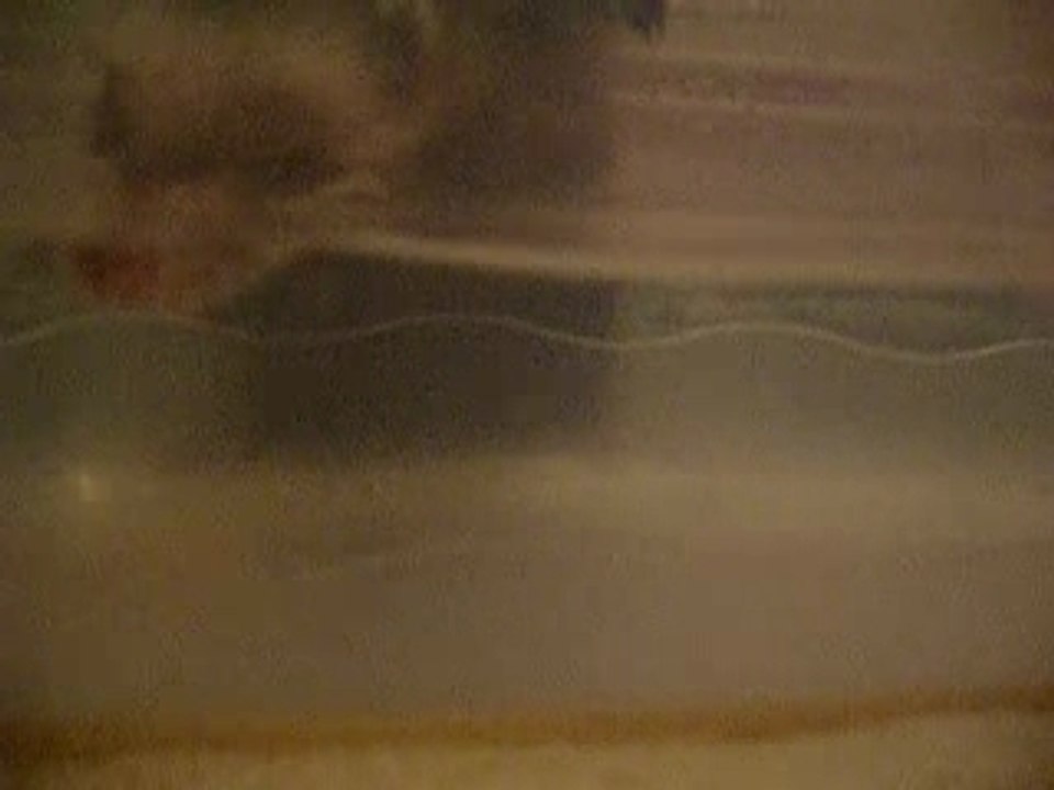 Mumiah la loutre