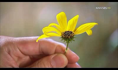 부산건마방｜면목건마"밤전"｜천안건마