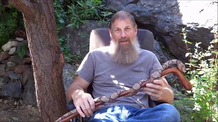 Daha önce böyle bir baston gördüğünüzü düşünmüyorum!