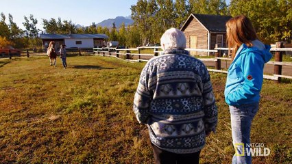 Dr. Oakley, Yukon Vet