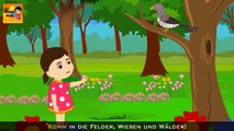 Kuckuck, Kuckuck, rufts aus dem Wald   36 min deutsche Kinderlieder | Kinderlieder sum Mitsingen
