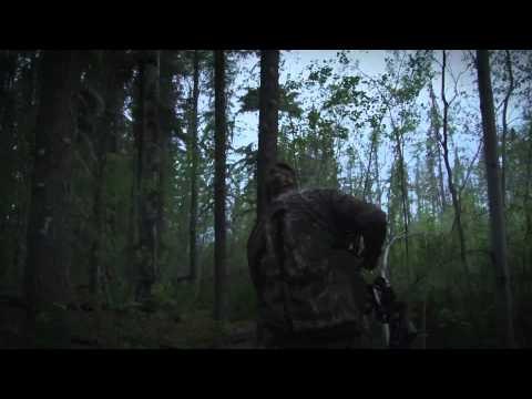 Winchester Archerys Whitetail Frenzy - Archery Black Bear Hunt
