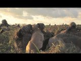 The Grind Waterfowl TV - Ontario 2