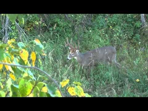 Major League Bowhunter - Jeffs Tale