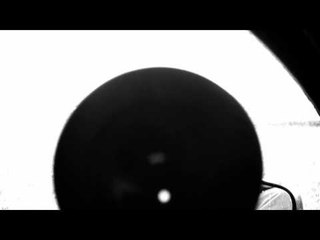 Jason Petersons Into the Wild - Ruttin Mulies