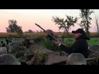 Higdon Outdoors TV - Alpha Goose