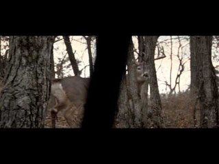 Raised Hunting - Respect