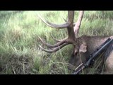 Outdoor Edge Love of the Hunt  - Elk in Utah