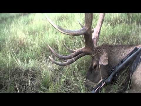 Outdoor Edge Love of the Hunt - Elk in Utah