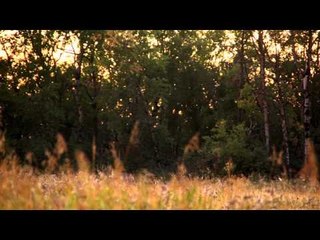 Dead Down Winds Live the Wild Life - Clsoe Encounters