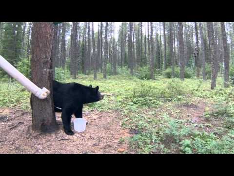 Indian Point Camps The Real Deal - Success