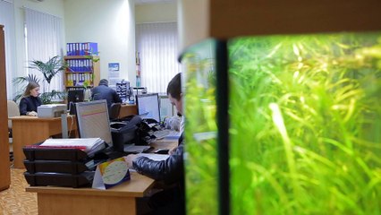 Пожарная сигнализация для дома, Сириус защита от пожара