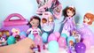 Doc McStuffins Surprise Eggs Princess Sofia The First Easter Eggs Huevos Sorpresa Disney Toys Video