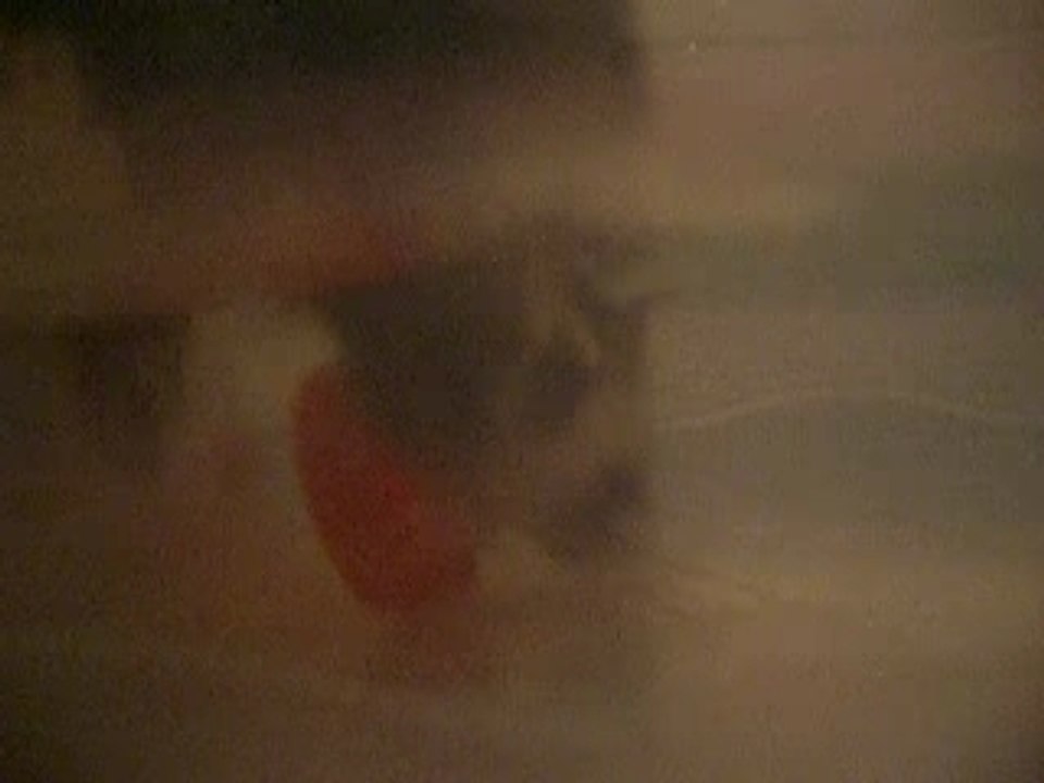 Mumiah la loutre 4