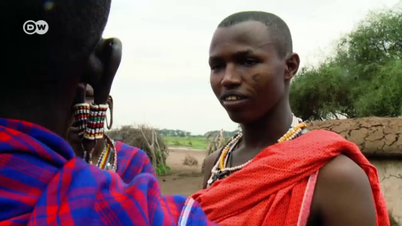 Kenia: freie bahn für wilde tiere | global ideas