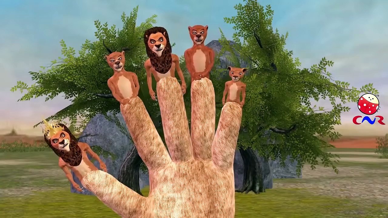 Lion Cartoons Finger Family Nursery Rhymes | Lion Finger Family Children Nursery Rhymes fo
