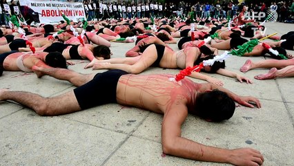 Activistas mexicanos piden prohibición de la tauromaquia