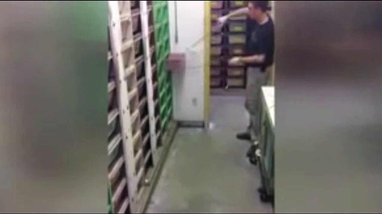 Экстремальное кормление Кобр в питомнике
