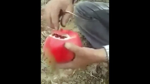 Способ быстро и красиво почистить Гранат